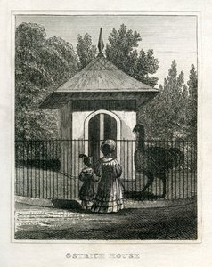 Zoológico Regent