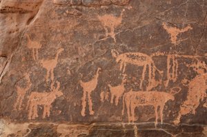 Arte rupestre, Pré-história: Detalhe de uma gravura de um conjunto de avestruzes e gado no maciço de Uweinat, Egipto (Período de 8000 a 3000 anos antes de Cristo). Fotografia de Unbekannt
