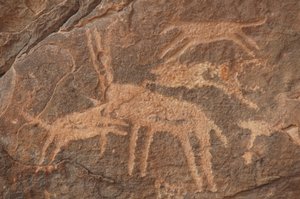 Arte rupestre, Pré-história: Gravura de um antílope atacado por uma matilha de cães no maciço de Uweinat, Egipto (Período de 8000 a 3000 anos antes de Cristo). Fotografia de Unbekannt