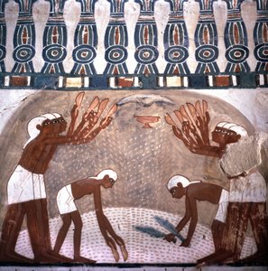 Cena da destruição do trigo, túmulo de Nakht, sala do túmulo dos nobres. Vallee des Nobles. Website de Luxor, Egipto.