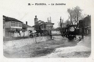 Sérvia, Florina (atual Grécia): vista da Sukulina - Cartão Postal 1914-1918 de William M. Timlin