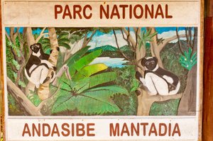 Sinal que representa lémures na selva; Parque Nacional Andasibe-Mantadia; Madagáscar; África de Unbekannt