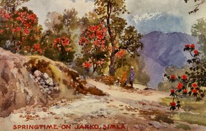 primavera em Jahko, Simla, Índia de Unbekannter Künstler
