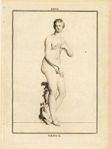 Estátua de Vénus, deusa romana do amor, da beleza, do sexo e da fertilidade de Unbekannt