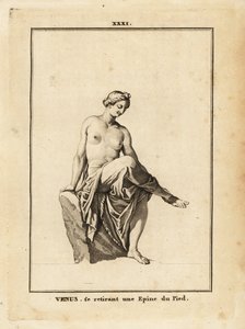 Estátua de Vênus, deusa romana do amor, beleza, sexo e fertilidade, retirando uma lasca do pé de Unbekannt