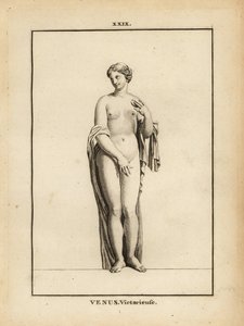 Estátua de Vénus Victrix, deusa romana do amor, da beleza, do sexo e da fertilidade de Unbekannt