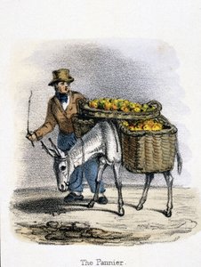 O Pannier