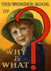 O Livro Maravilhoso do Porquê e do Que de Unbekannt