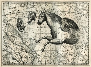 A constelação de Pegase, desenha como a metade anteriora de um cavalo com um par de asas, o Cavalinho, a cabeça de um cavalo e o Golfinho. Gravura de "Les étoiles et les autres curiosites du ciel" de Camille Flammarion de Unbekannt