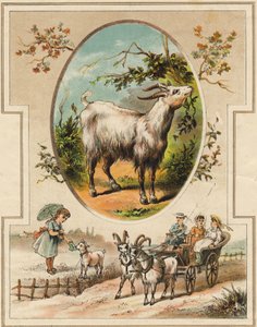 O bode. Gravura em "Mon premier Grand Alphabet". Bernardin-Bechet Edition, Paris, cerca de 1890. Ilustrações de A. des Lilleuls. Sem página, 46 páginas. Dim: 31x22cm . de Unbekannt