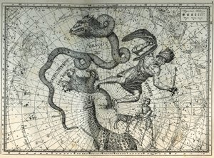 As constelações próximas do Pólo Norte: Urso Pequeno, Dragão, Cefé, Girafa, Renas e Messier. Gravura de "Les étoiles et les autres curiosites du ciel", de Camille Flammarion. de Unbekannt