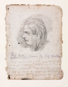 Thomas Henry Huxley, biólogo inglês, meados do século XIX de Unbekannt