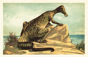 Trachodon mirabilis, dinossauro hadrosaurad extinto.1908 (litografia) de Unbekannter Künstler