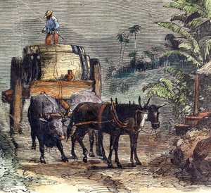 Transporte de rum de Unbekannter Künstler