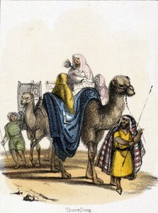 Viajando