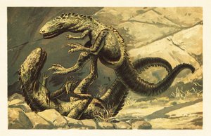 Dois combatendo Dryptosaurus aquilunguis.1908 (litografia) de Unbekannter Künstler
