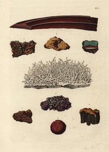 Variedades de minério de ferro. Gravura em chapa de cobre colorida à mão, segundo uma ilustração de Deliciae Naturae Selectae de Georg Wolfgang Knorr do Kabinet van Zeldzaamheden der Natuur, Blusse and Son, Nuremberga de Unbekannter Künstler