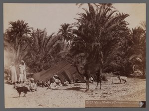 Vista de um site no Norte da África - Nomad Camp (impressão fotográfica de albúmen) de Unbekannt