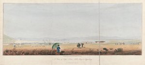 Vista da Cidade do Cabo, da Baía da Mesa e das colinas de Tygerberg (África do Sul). Litografia (26,5x53,5 cm) de J.W. Burchell de Unbekannter Künstler