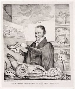 William Buckland, geólogo de Unbekannt