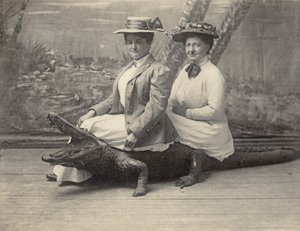 Mulheres sentadas sobre um jacaré de peluche, c.1905 (foto a p/b) de Unbekannter Künstler