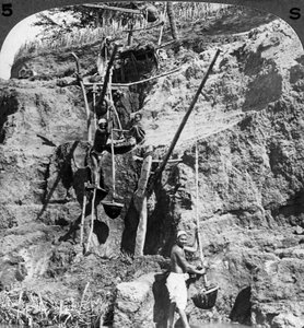 Um shaduf egípcio que eleva as águas do Nilo para os campos sedentos, Egito, 1905.