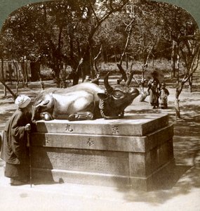 Mulher devota acariciando um touro de bronze para curar reumatismo, templo de Kitano Tenjin, Kyoto, Japão, 1904 de Underwood and Underwood