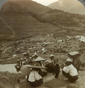 Dragando um leito de rio para rubis, Mogok, Birmânia, c1900s. de Underwood and Underwood