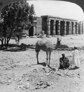 Olhando para o norte, até o templo de Sethos I, Tebas, Egito, 1905. de Underwood and Underwood