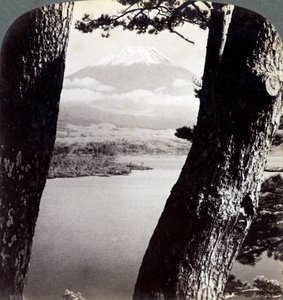 Monte Fuji, visto do noroeste, através de pinheiros no Lago Motosu, Japão, 1904 de Underwood and Underwood