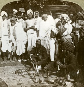 Encantador de serpentes, Calcutá, Índia, c1900s. de Underwood and Underwood
