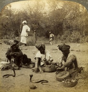 Encantadores de serpentes, Delhi, Índia. de Underwood and Underwood