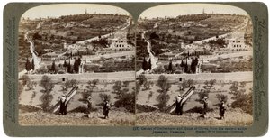O Jardim do Getsêmani e o Monte das Oliveiras, Palestina, 1908. de Underwood and Underwood