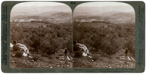 A planície de Dothan, Palestina, 1900. de Underwood and Underwood