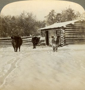 Inverno em um rancho, Montana, EUA. de Underwood and Underwood