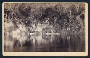 [Sob os penhascos do rio Withlacoochee, Florida]