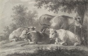 Vacas descansando de Unknown