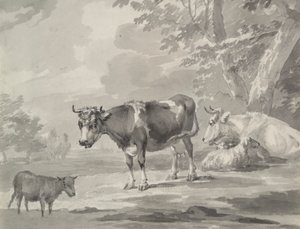 Vacas e Ovinos de Unknown