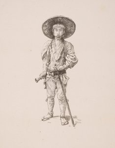 Peregrino de Unknown