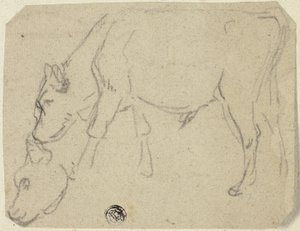 Esboços de um touro a pastar, cabeça de vaca (frente); vaca sentada de perfil (verso) de Unknown