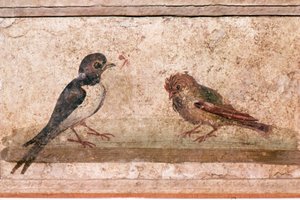 Andorinha e pardal, pintura mural romana de Boscoreale, perto de Pompeia, século I de Unknown