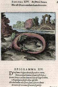 Um dragão a bater na cauda (ou Ouroburo (?)). Placa tirada da caminhada de alquimia "Atalanta fugiens hoc est Emblemata nova de secretis naturae chymica" de Michel Maier (1568-1622) de Unknown artist