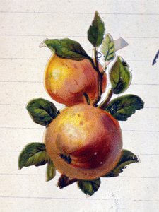 Um pêssego de Unknown artist
