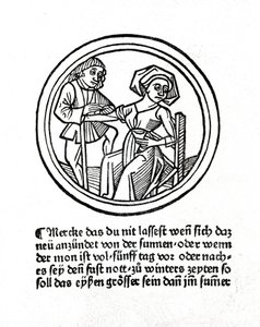 Uma mulher está a sangrar. Xilografia em "Buch de Surgery" de Hyeronimus Braunschweig. Estrasburgo 1497 de Unknown artist