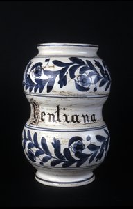 Albarelle: antigo vaso de farmácia do século XVI contendo genciana. Museu de Ciência e Tecnologia, Milão. de Unknown artist