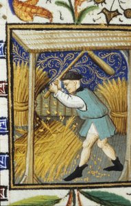 Representação alegórica do mês de Agosto. Um camponês que bate no trigo. Miniatura de um manuscrito do século XIV. de Unknown artist