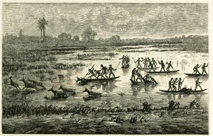 A caça aos antílopes, a caça anual durante a migração, os antílopes abrandados na água do rio são abatidos pelos guerreiros Marutse, que os perseguem em equilíbrio em canoas. Gravura para ilustrar a história "Au pays des Marutses", em 1875-1879, pelo Dr. E de Unknown artist