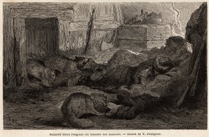 Raposas azuis roendo os sapatos de marinheiros dormindo no refúgio da estação de observação, desenho de V.Foulquier, para ilustrar o Spitzberg de Unknown artist