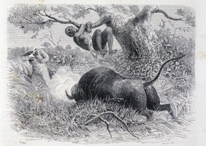 Capitão Speke caçando búfalos - no "Tour du Monde". de Unknown artist