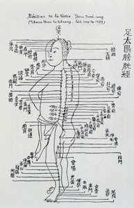 Acupunctura chinesa: o meridiano da bexiga de Unknown artist